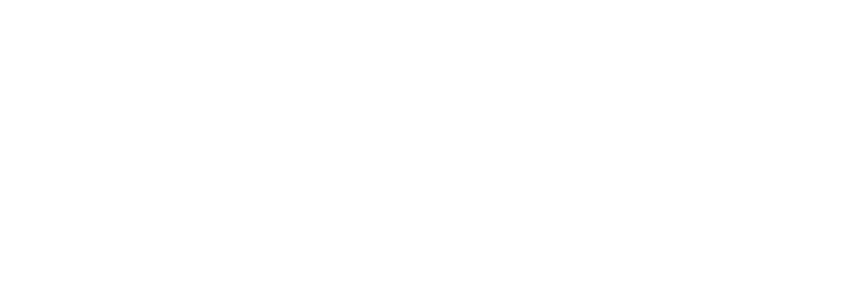 CFMoto